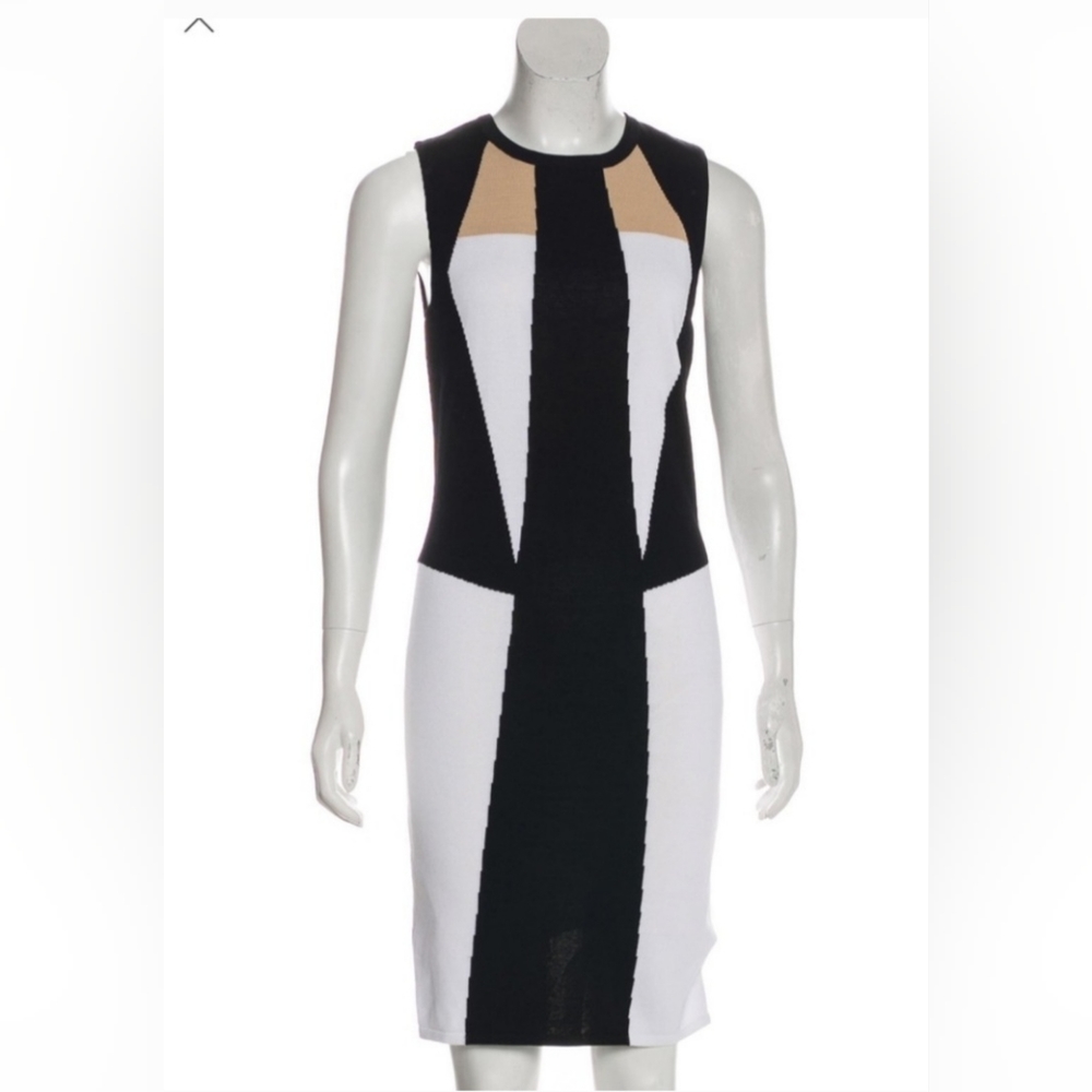TORN BY RONNY KOBO COLORBLOCK SLEEVELESS DRESS SIZE LARGE NWT